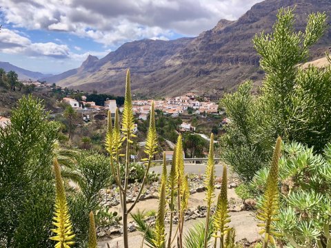 Molino de agua la Gurieta de Fataga