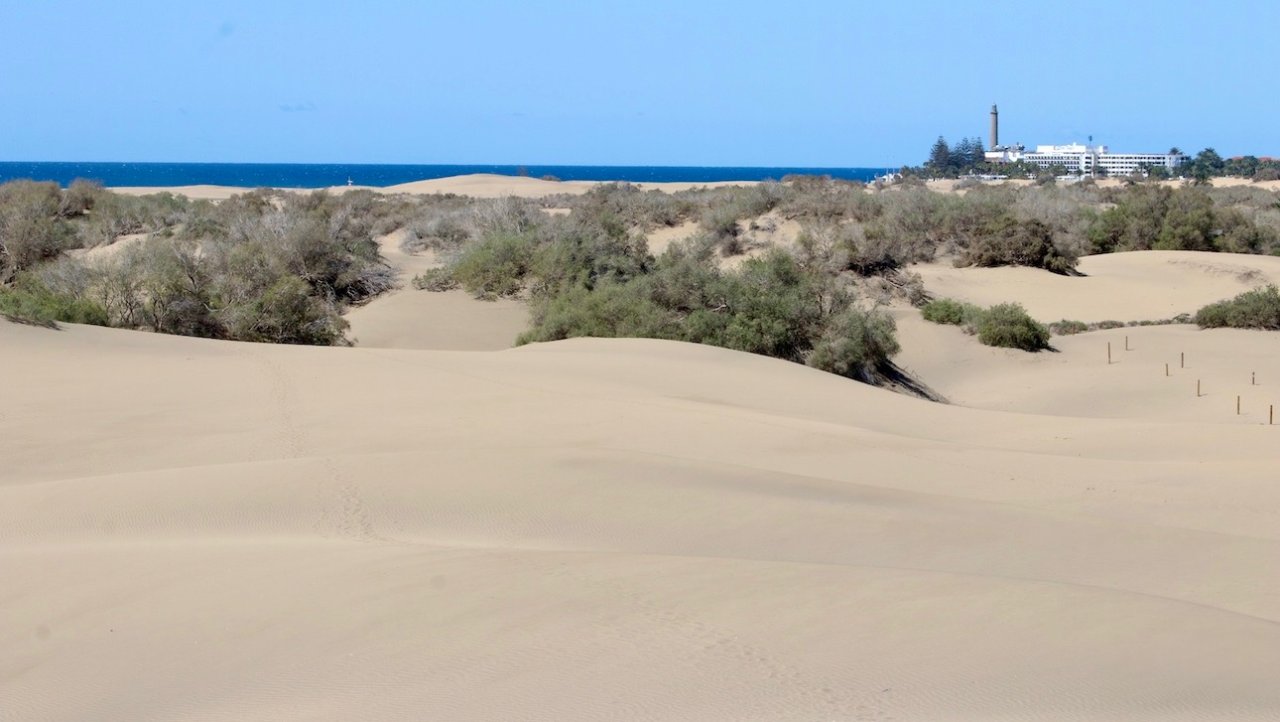 Panorámica Dunas - Faro de Maspalomas