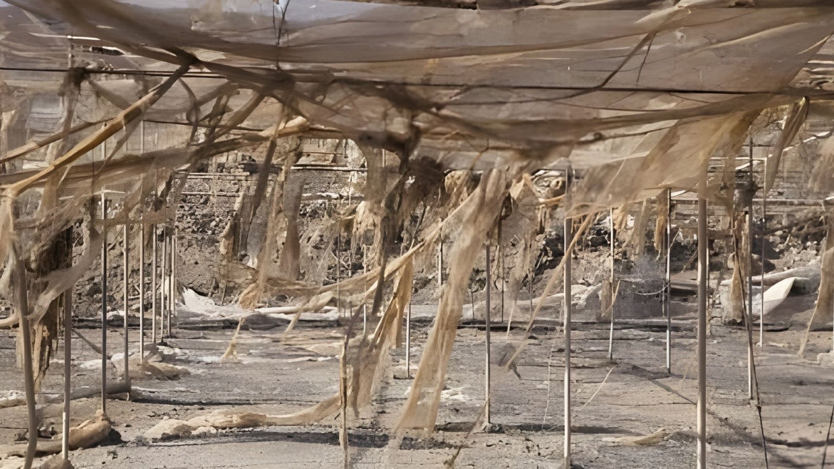 El naufragio plástico del sur de Gran Canaria: El plan para acabar con el cementerio de esqueletos agrícolas