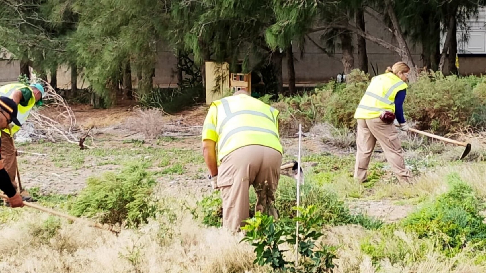 La concejalía de Limpieza refuerza el servicio en barrios, senderos y accesos rurales con 20 nuevos operarios