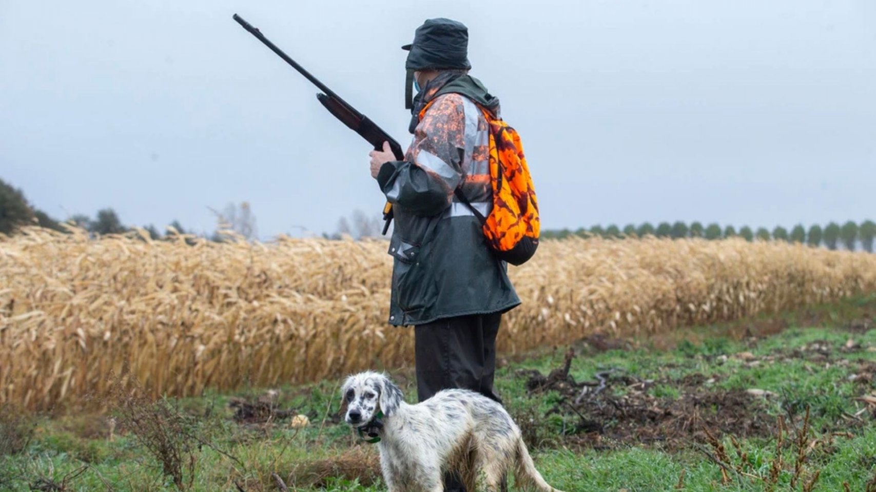 Sureste de Gran Canaria: Los cazadores harán siembra en suelos degradados cuándo busquen sus 'piezas'