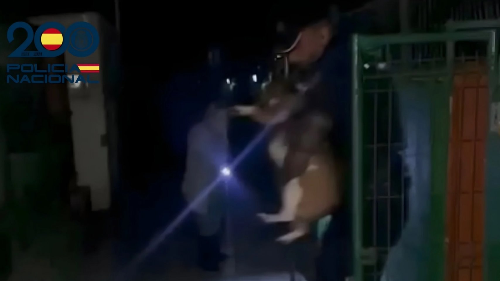 Desalojan a 15 perros de una residencia canina en Ayagaures ante riesgo de inundación por la borrasca Therese