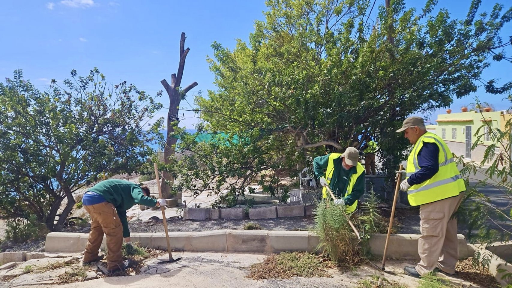 San Bartolomé de Tirajana retira 23 toneladas de residuos vegetales y refuerza el empleo local con su nuevo plan socioambiental