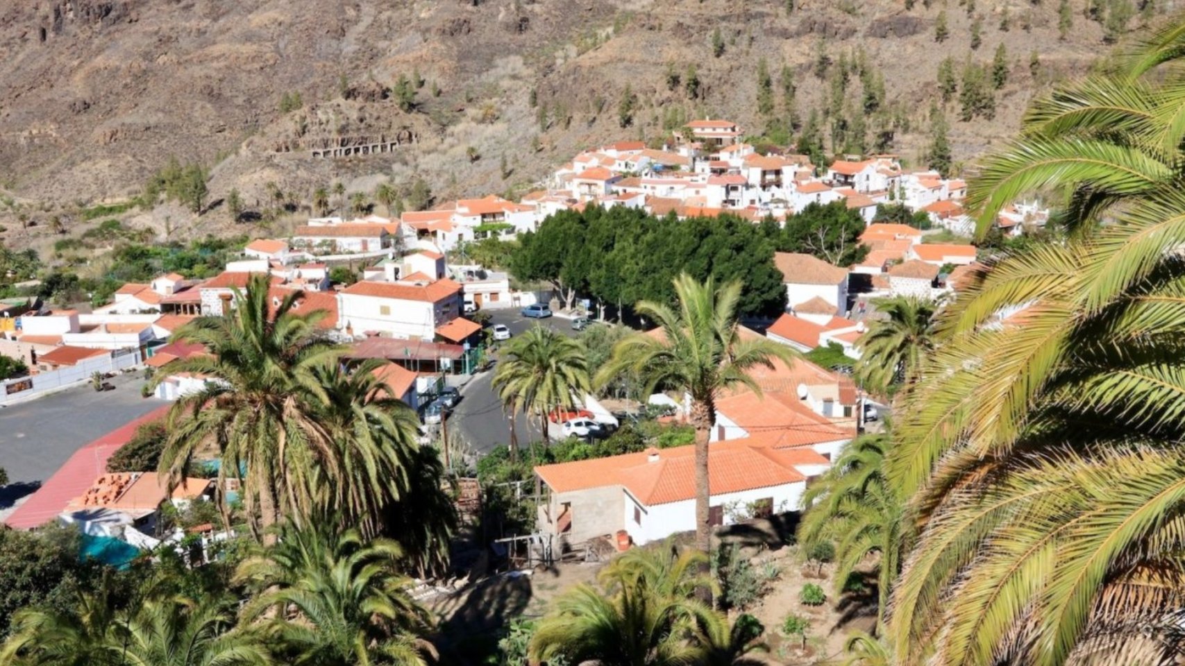 ©Maspalomas24h