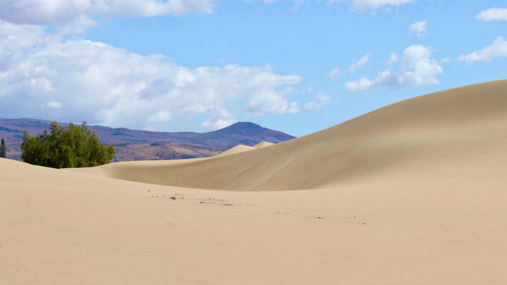 El Cabildo activa la elaboración del plan que ordenará y blindará los recursos naturales de las Dunas de Maspalomas