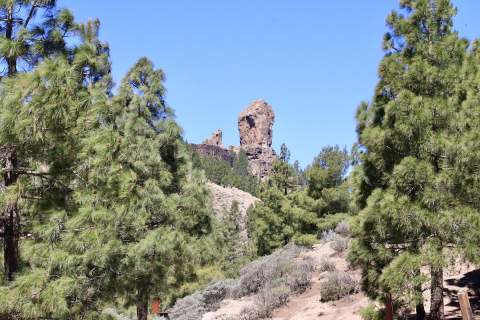 Imágenes de Gran Canaria. Abril 2020