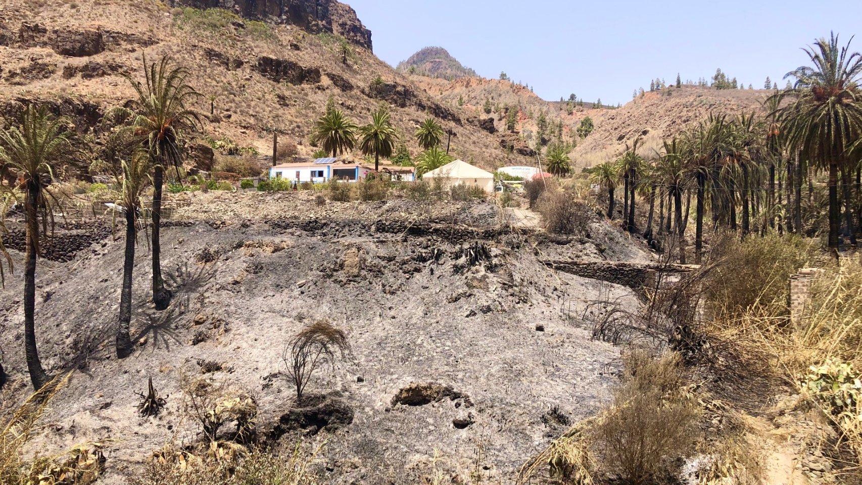 Fataga - Gran Canaria