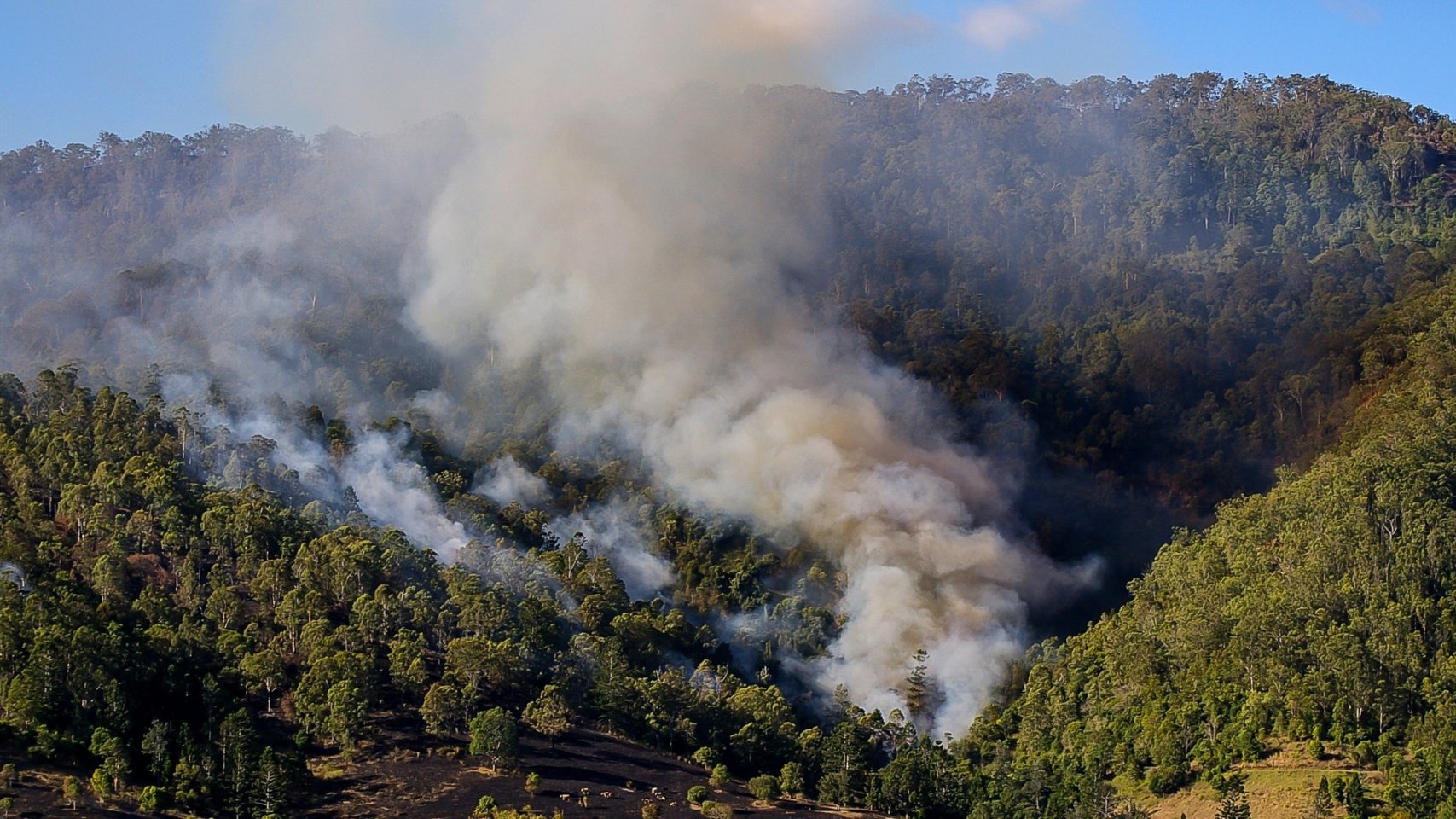 Gran Canaria activa la alerta por riesgo de incendios forestales y refuerza las restricciones en zonas rurales