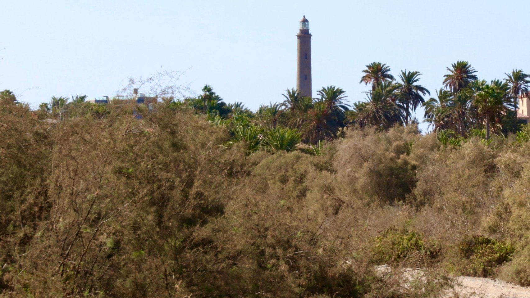 Oasis Palmeral y Faro de Maspalomas